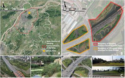 Mitigation of heat island effect by green stormwater infrastructure: a comparative study between two diverse green spaces in Nanjing